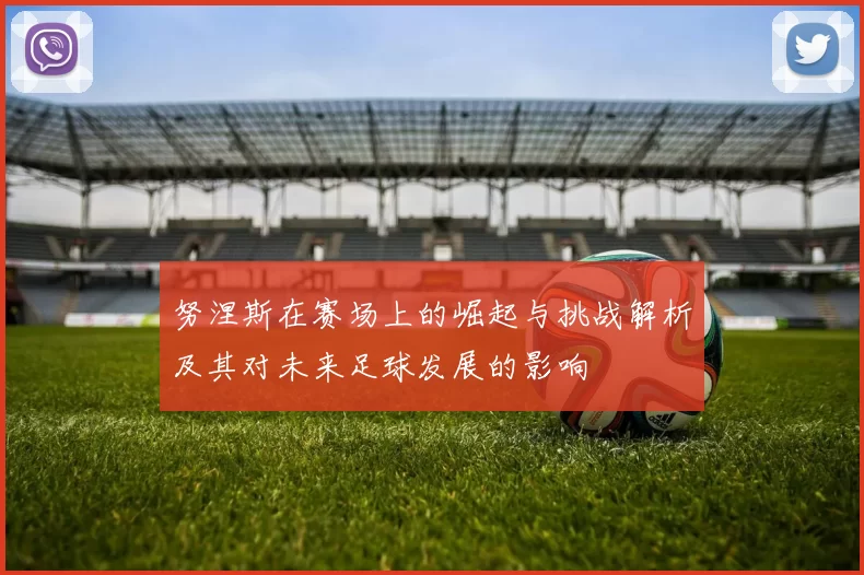 努涅斯在赛场上的崛起与挑战解析及其对未来足球发展的影响